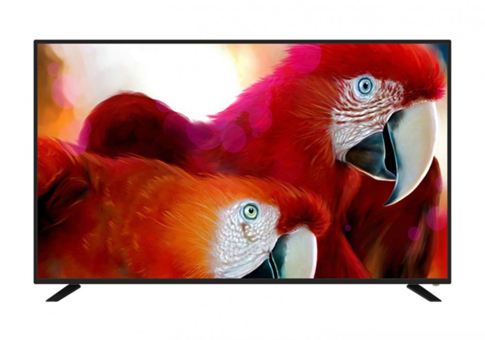 Noble Skiodo 70SM65P01 65 Inch (164 cm) Smart TV