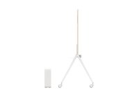 TCL 65A300 Pro 65 Inch (164 cm) Smart TV