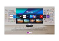 Hisense PL2 150 Inch (381 cm) Smart TV