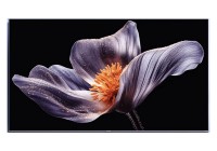 Mi Xiaomi TV S Pro Mini LED 55 2026 55 Inch (139 cm) Smart TV