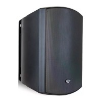 Klipsch CA-800T Wired Speakers
