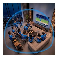 ACwO Sphorika N333 Home Theatre Speaker