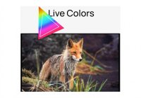 Samtonic ST 2401N 24 Inch (59.80 cm) Smart TV