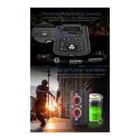 F&D PA300 Bluetooth Speaker