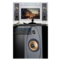 F&D T-35X Home Theatre Speaker