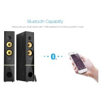 F&D T-88X Home Theatre Speaker