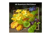 Hisense 55S7NQTUK 55 Inch (139 cm) Smart TV